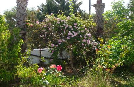 Calamon Apartments - Foto 50