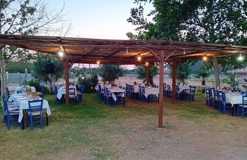 PETROS ROOMS to LET KALOGRIA BEACH - Foto 53