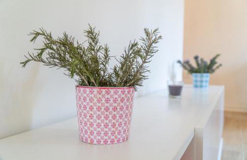 Apartman Soto - Photo 10