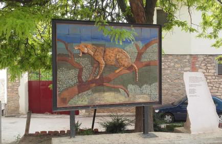 Barranco de las Maravillas - Foto 65