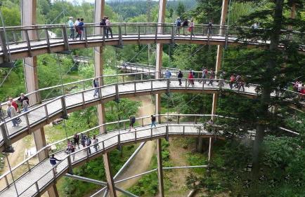 Ferienwohnung Köck - Foto 45