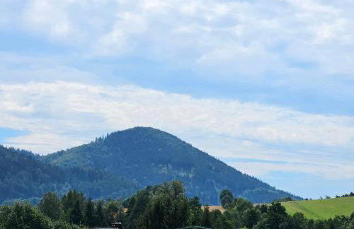 Apartament pod laskiem - Foto 20