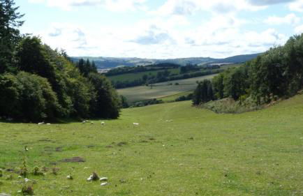 Willow Cottage - Foto 17