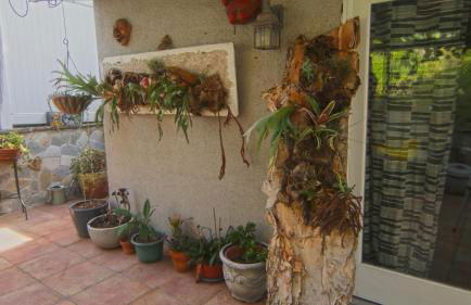 Artistic Resort Like Home with Pool - Photo 44