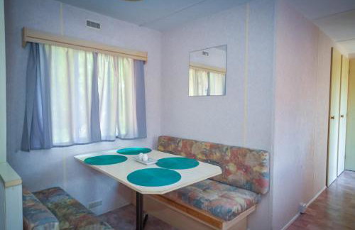 Siedlisko mazury. - Foto 28