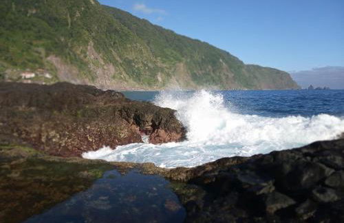 Lazy Lizard by the Ocean - Foto 33