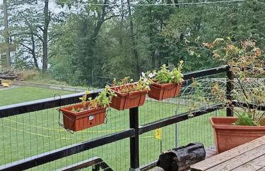 2 double rooms apartment- La Casa di Alice - Foto 27