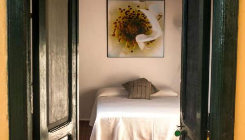 FINCA LA PLANTACIÓN _Agroturismo - Foto 2