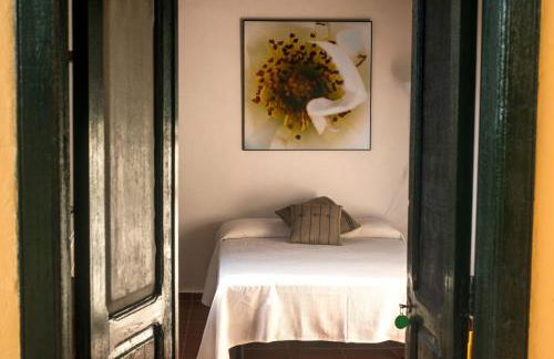 FINCA LA PLANTACIÓN _Agroturismo - Foto 2