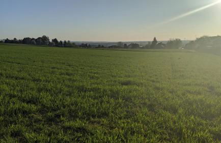 Klosterberghaus - Kontaktloser Check-in - Foto 40