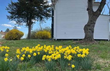 Newly Renovated Modern Farmhouse - Foto 35