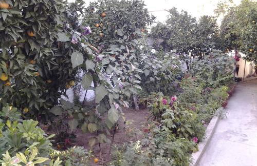 Studios Maro - Foto 29