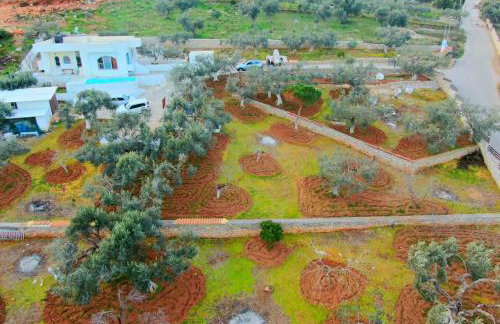 Villa Konaki - Foto 11