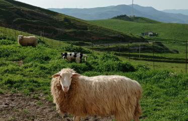 Agriturismo Mandriagiumenta - Foto 24