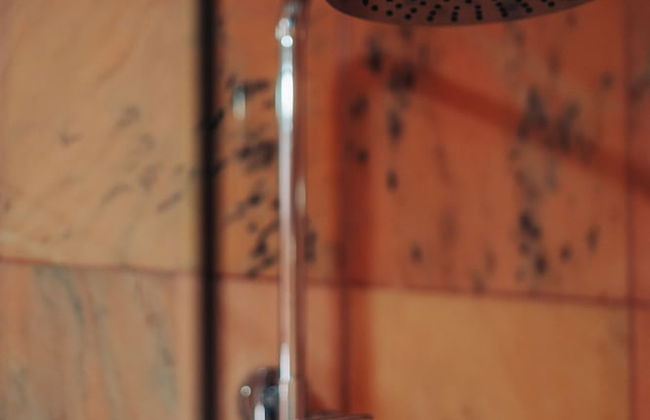 Herdade dos Cordeiros - Foto 24