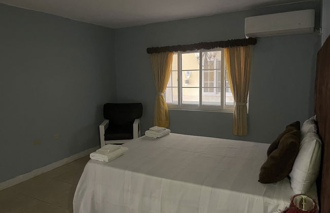 Pirate Palms - Foto 6