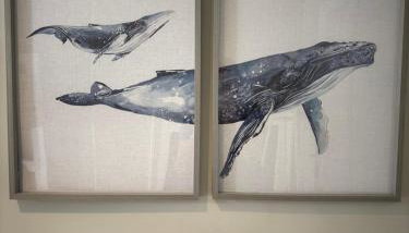 The Retreat - 2 bed cottage in Aberdovey - Foto 4