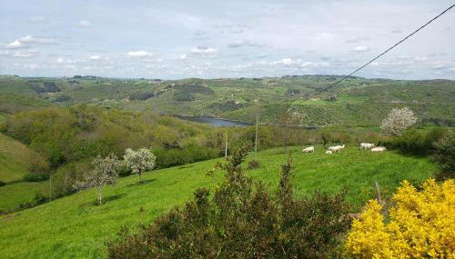 Gîte la Madeleine dans les gorges de la Loire - Foto 2