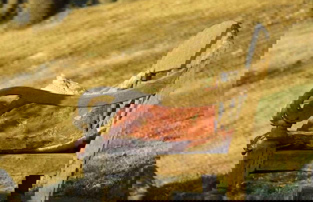 Bio Agriturismo Poggio Aione - Foto 60