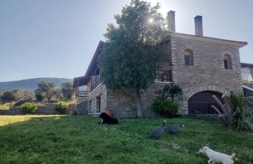 Venus cottage - Foto 8