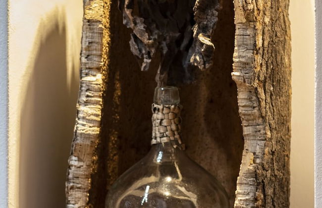 Casas de Campo do Castro da Cola - Foto 11