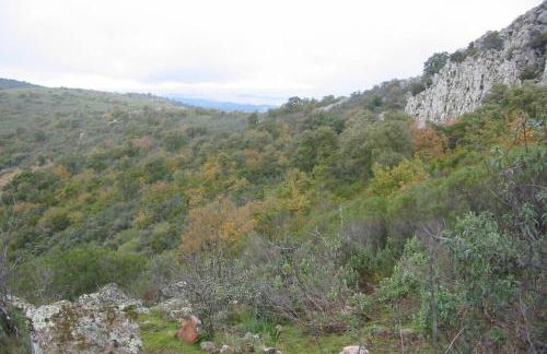 Cortijo "Era Grande 1" - Foto 38