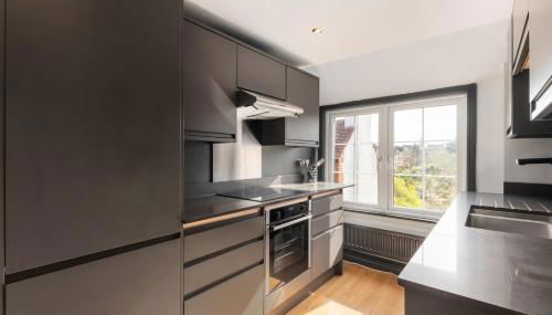 Designer 1 bed Loft Apartment, SW16 - Foto 5, stove, dishwasher