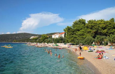 Sea Pearl - Photo 33