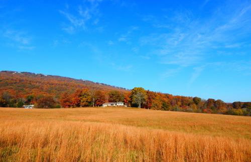 Fryars' Green at Tennessee RiverPlace - Foto 1