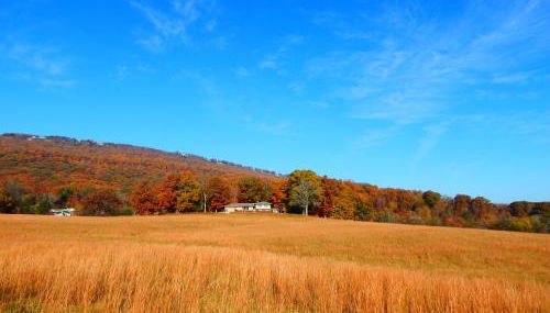 Fryars' Green at Tennessee RiverPlace - Foto 1