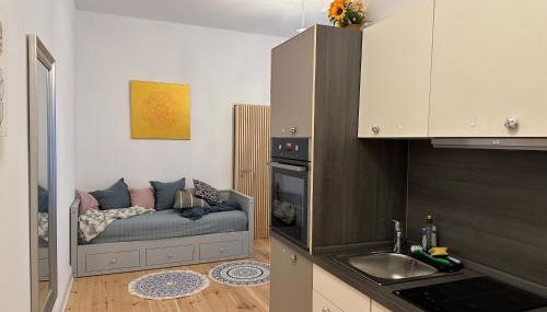 ROD 3 - quiet and central studio in Prenzlauer Berg - Foto 4, stove