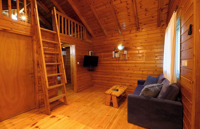 Belfer's Dead Sea cabins- Apartments - Photo 11