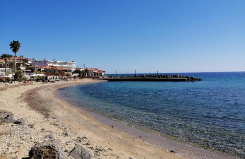 Herodicus villa - Foto 38