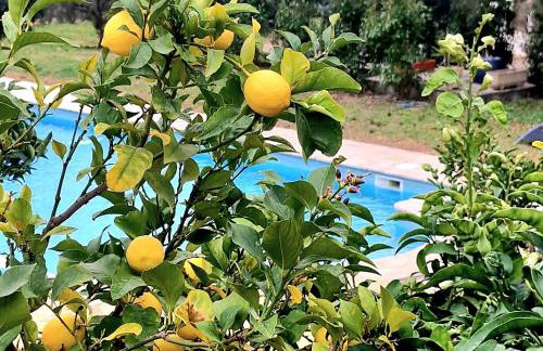 Maison de Caractère située au coeur des domaines viticoles de BANDOL - Foto 19