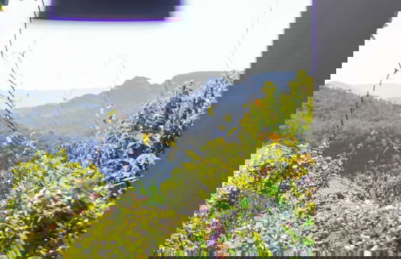 Vila Flor - Chapada dos Veadeiros - Foto 31