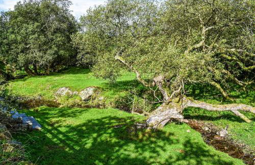 Nant Y Crogwyn - Foto 25