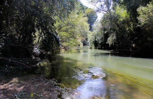 La Choza de Trasmulas - Foto 37