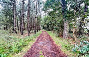 Petite maison dans la manche - Foto 11