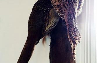 Charming Tudor riverside house - Foto 51