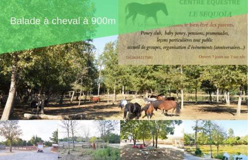 Le Cottage Bien-Etre Jacuzzi Piscine Chauffée Privée du Tarn entre Toulouse et Albi & Les Cottages du Tarn - Foto 83