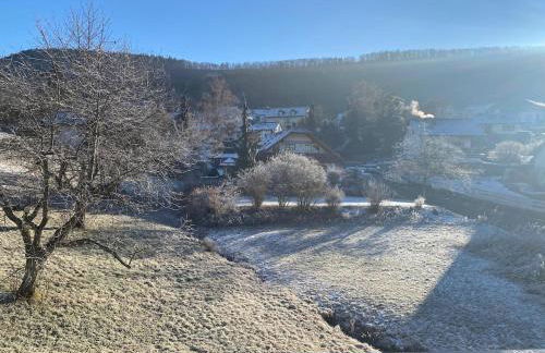 Gemütliche Wohnung mit Berg- und Waldblick - Foto 17