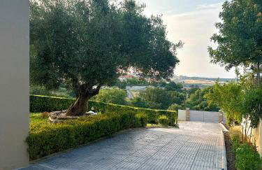 Sunrise Villa - Photo 80