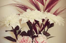 Ländliche Idylle in Hochfranken - Foto 12