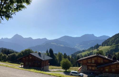 Chalets Savoie Les chalets d'Heidi - Photo 60