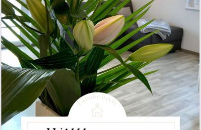 5 Sterne Wohnung Hunsrück Harmonie - Foto 13