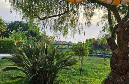 Case Vacanze Macchione - Foto 54