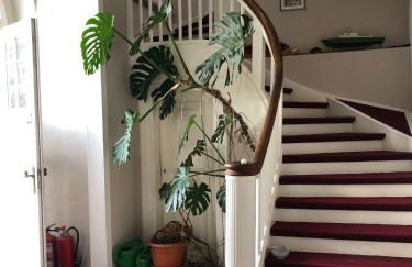 Gutshaus am Nationalpark Unteres Odertal - Foto 23