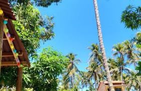 Casa Recanto das Mangueiras Japaratinga - Alagoas - Foto 24