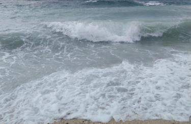 Sobe Kraft 1 - Photo 15