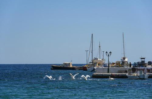 Panormos View - Photo 18